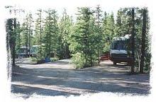 Wooded site at Pioneer RV Park & Campground - Whitehorse, Yukon