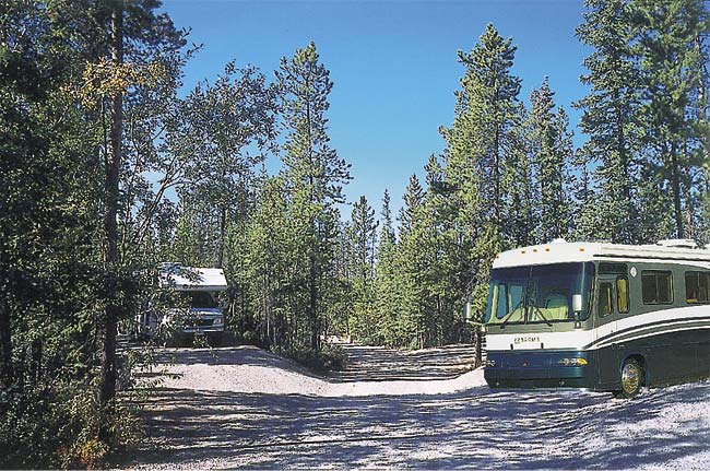 Well Treed Campground