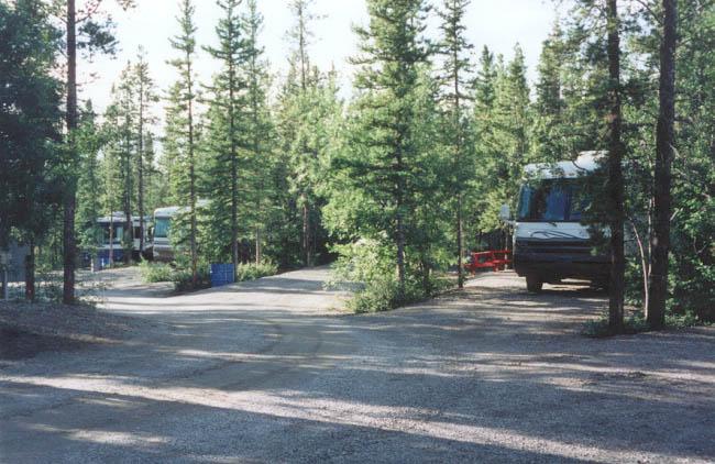 Some of the wooded sites at Pioneer RV Park & Campground - Whitehorse, Yukon